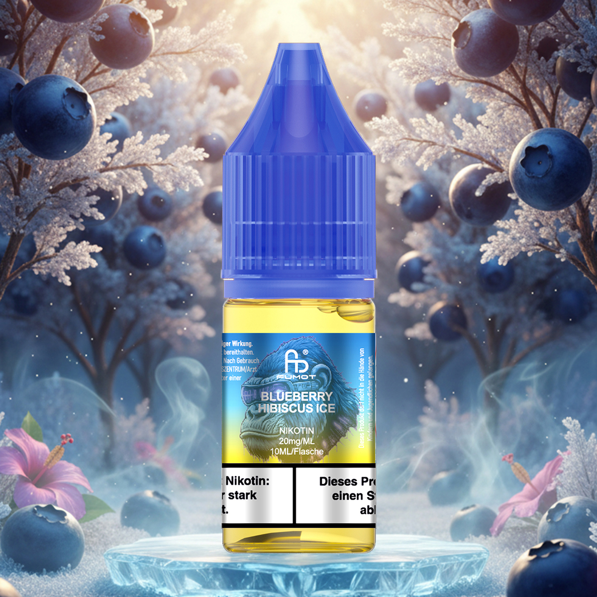 RandM Blueberry Hibiscus Nicsalt Liquid für E-Zigaretten