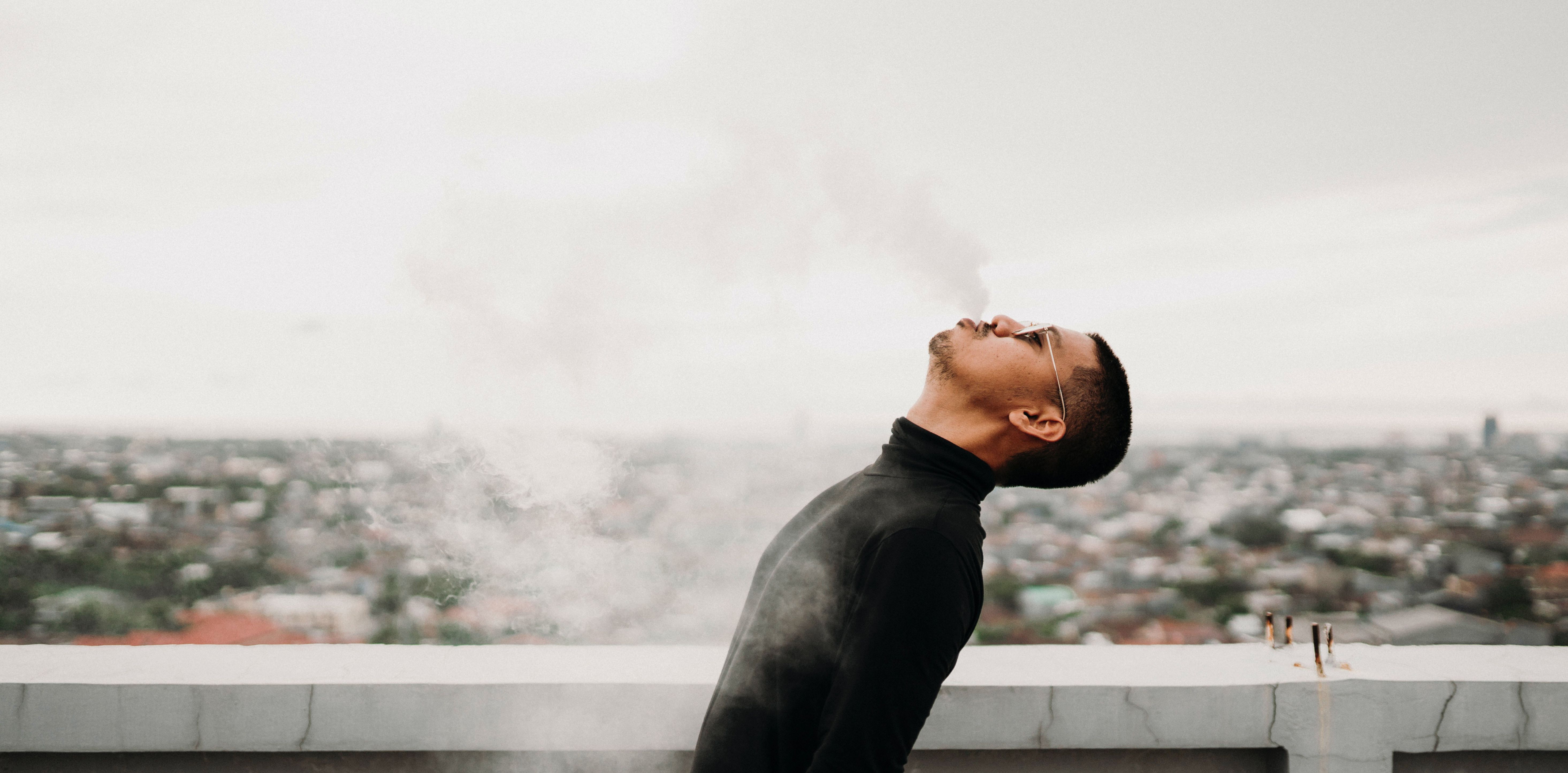 pexels-wsdidin-2284355